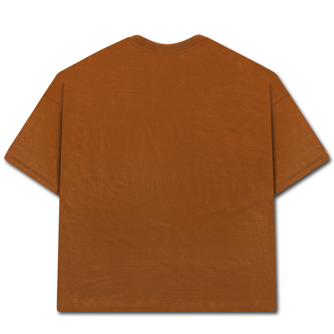 Camiseta Alive Oversized Heron Marrom