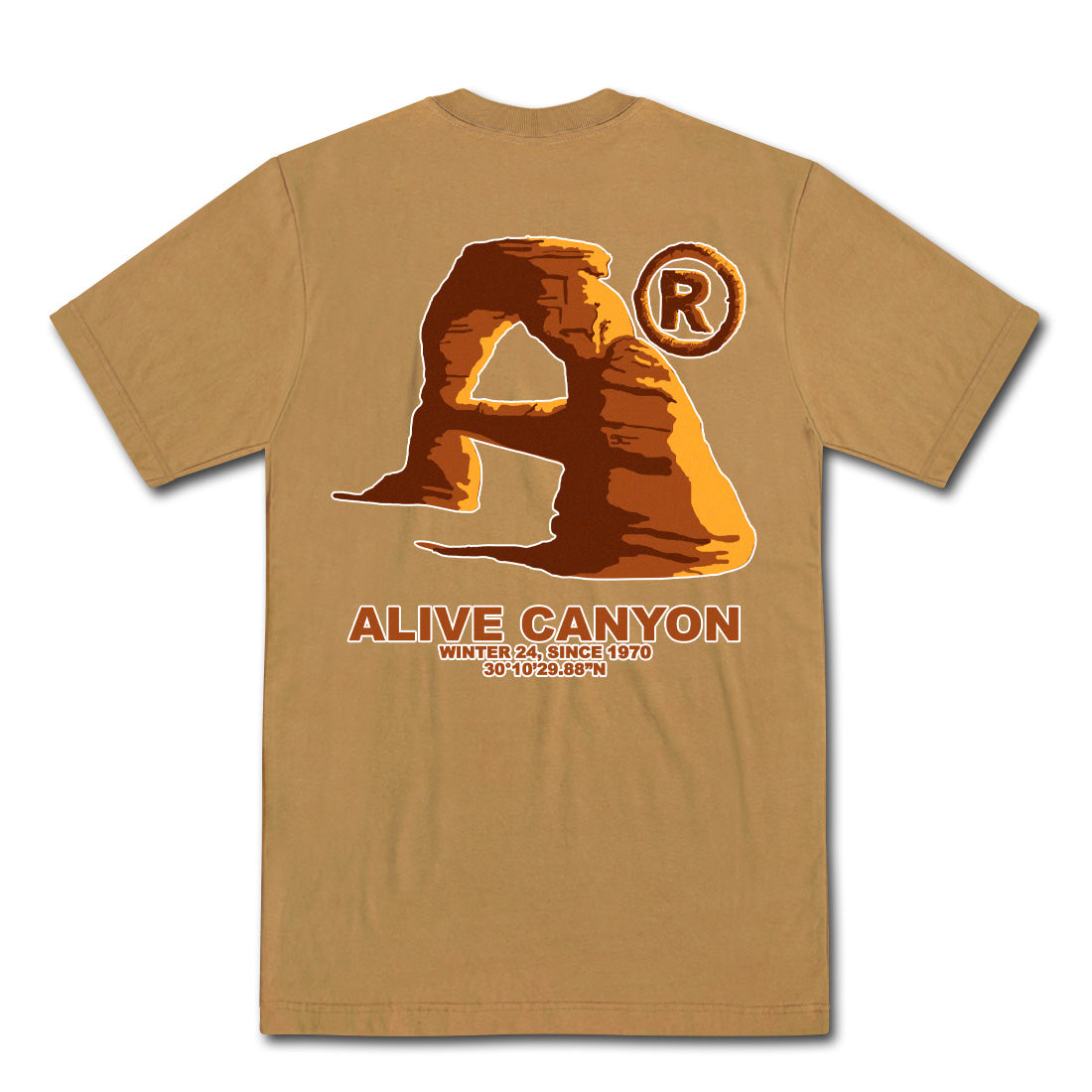 Camiseta Alive Canyon Marrom