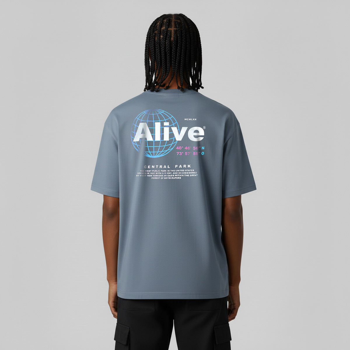 Camiseta Alive Central Park Cinza