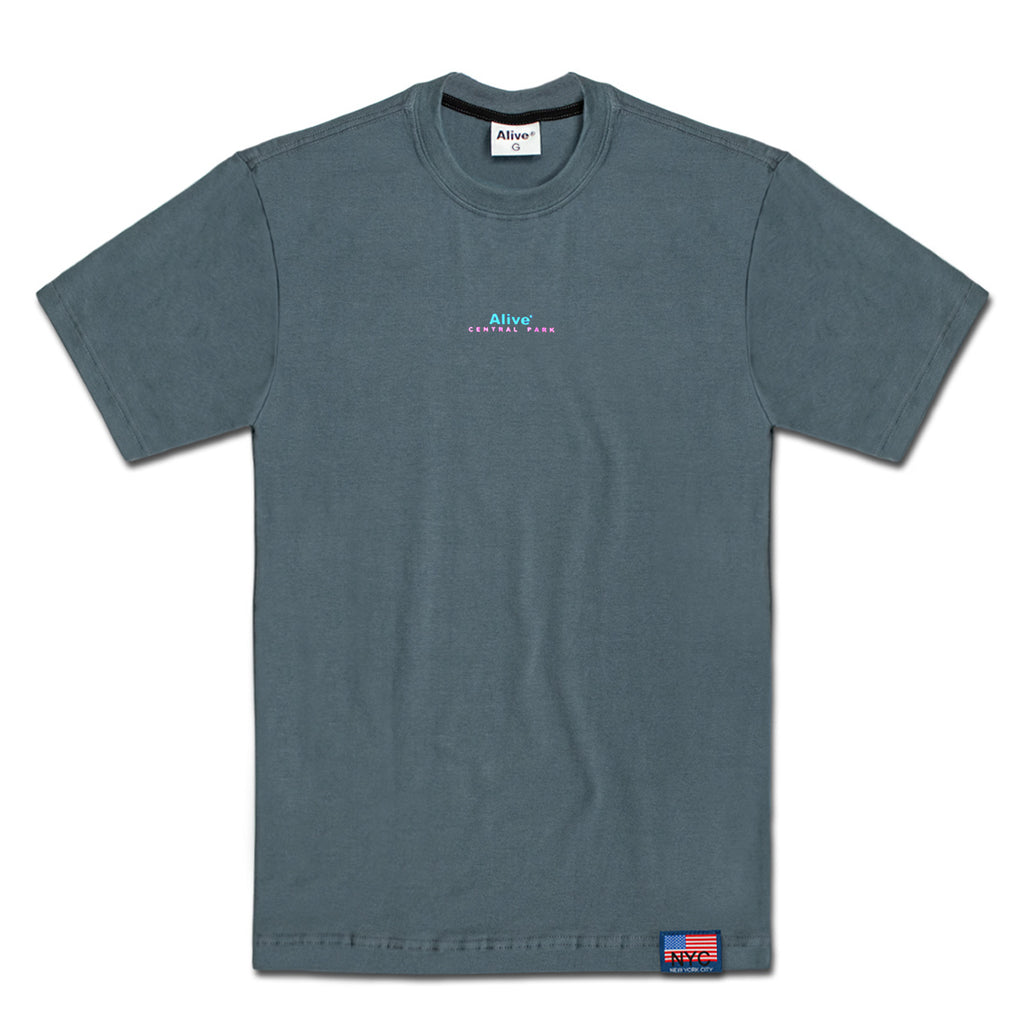 Camiseta Alive Central Park Cinza