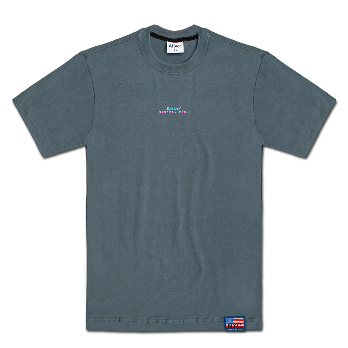 Camiseta Alive Central Park Cinza