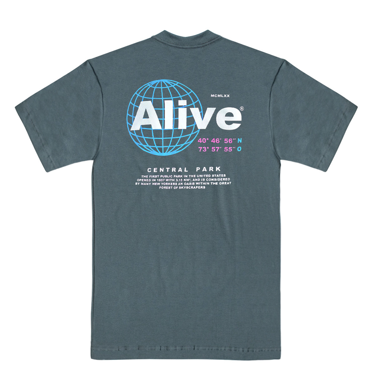Camiseta Alive Central Park Cinza