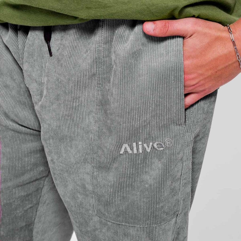 Calça Alive Cotelê Cold Cinza - Texas