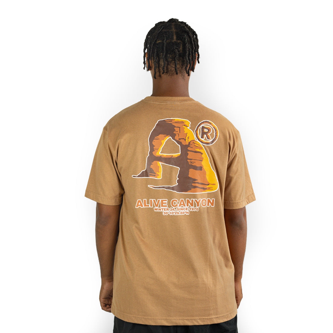 Camiseta Alive Canyon Marrom