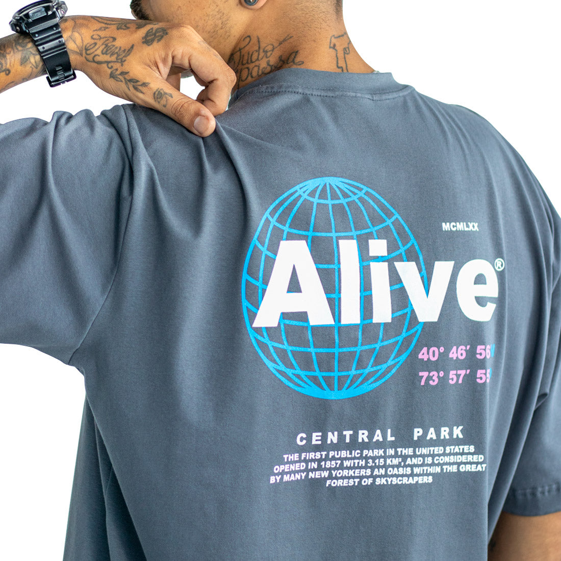 Camiseta Alive Central Park Cinza