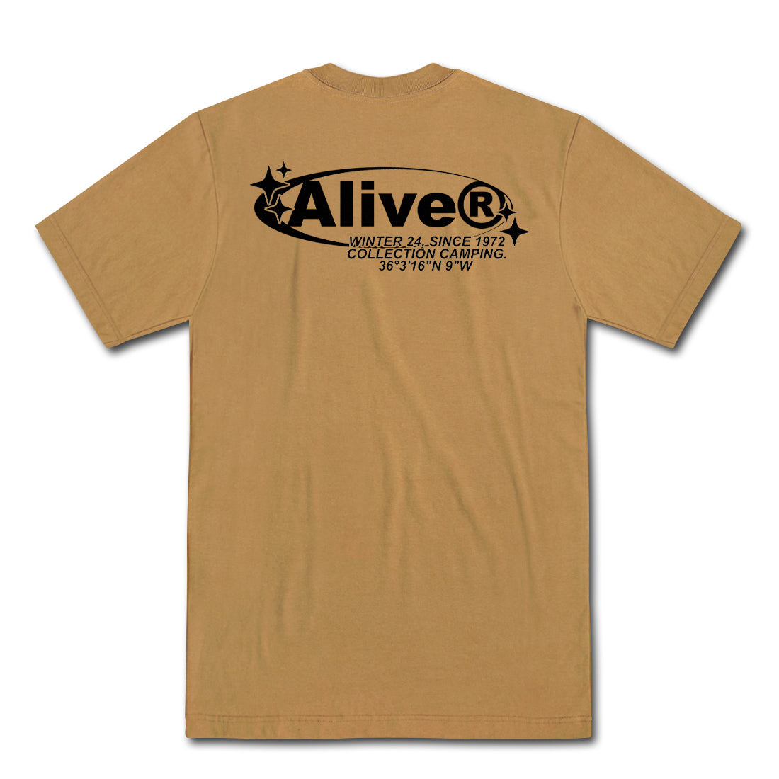 Camiseta Alive Star Marrom