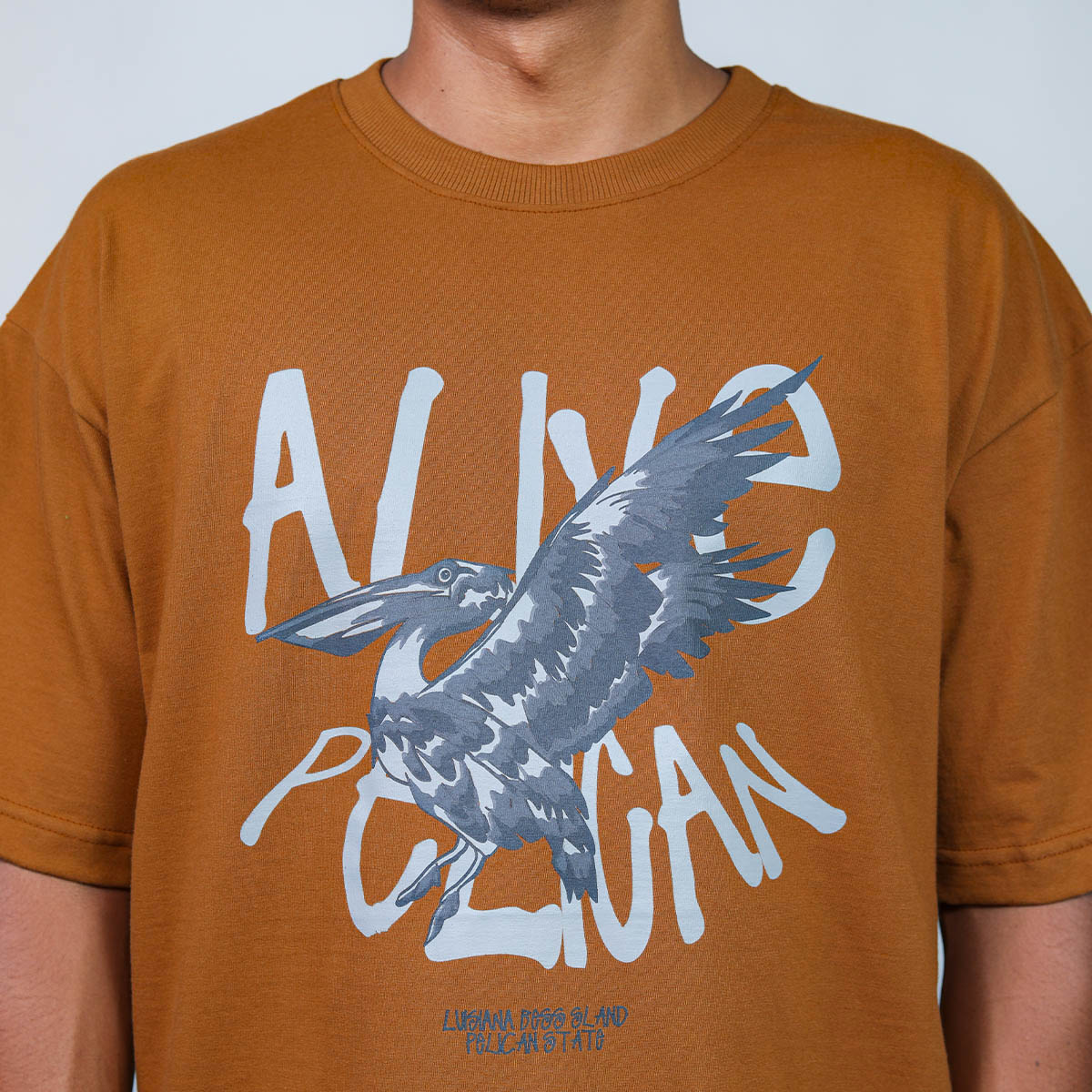 Camiseta Alive Oversized Pelican Marrom