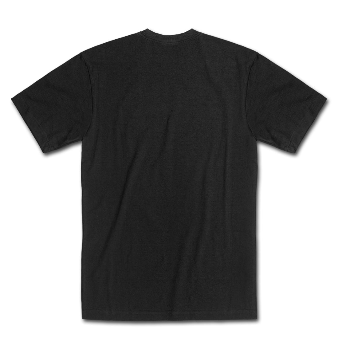 Camiseta Alive Preserve Preto