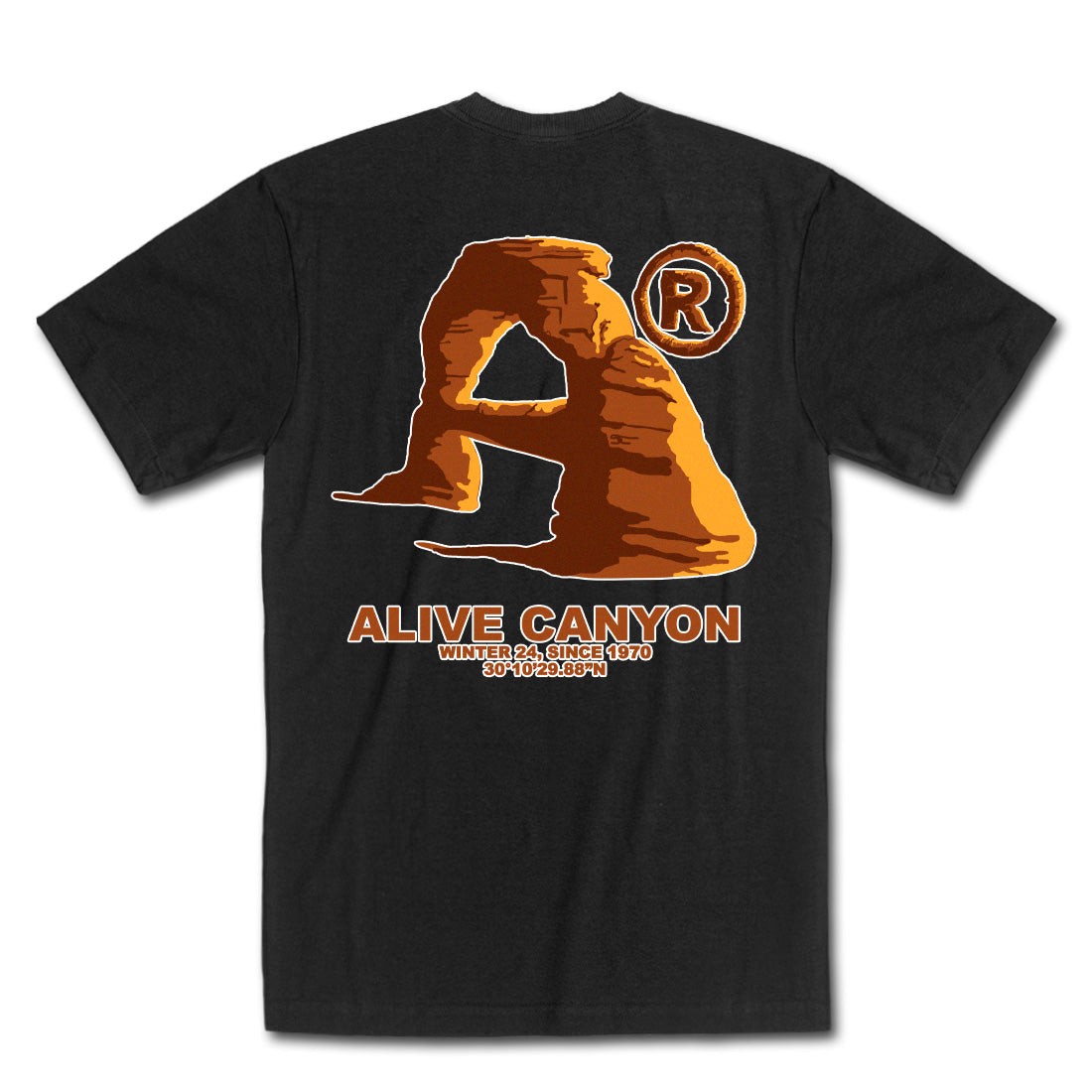 Camiseta Alive Canyon Preto
