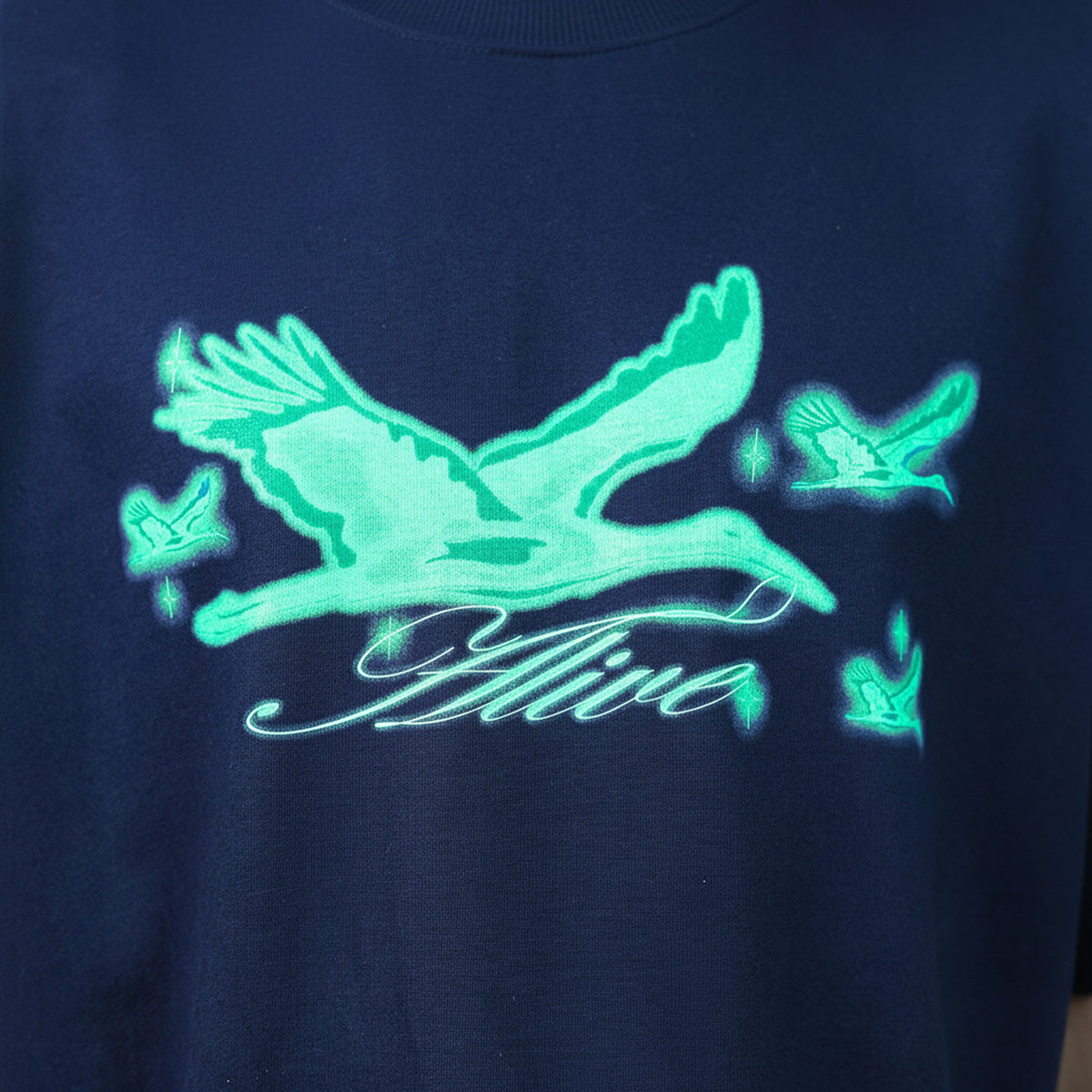 Camiseta Alive Oversized Heron Azul Marinho