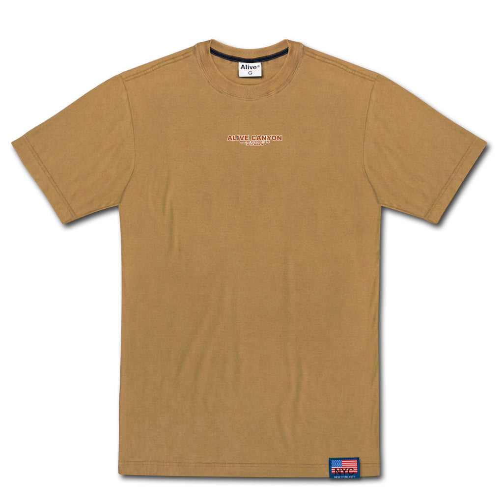 Camiseta Alive Canyon Marrom