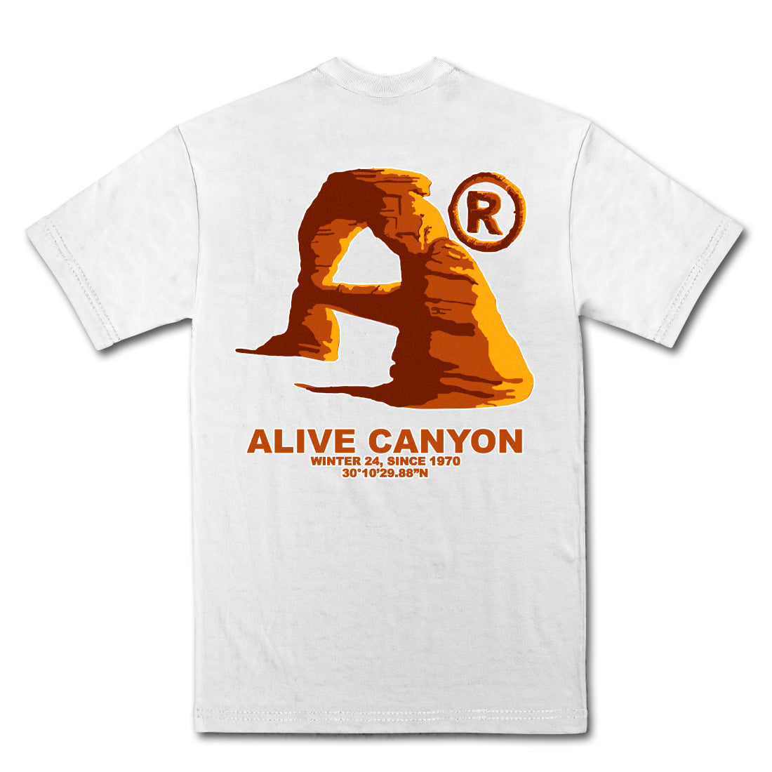 Camiseta Alive Canyon Branco