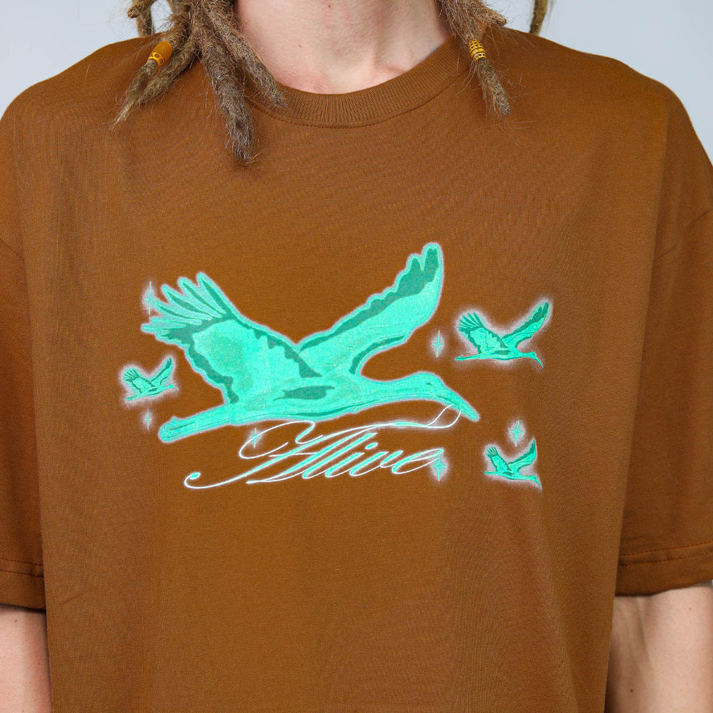 Camiseta Alive Oversized Heron Marrom