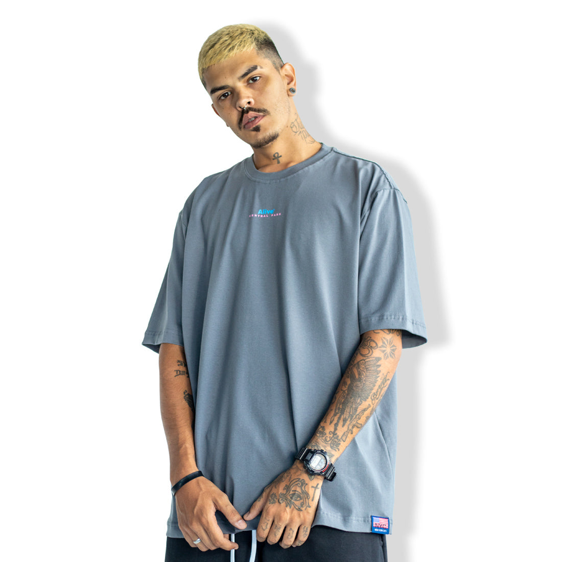 Camiseta Alive Central Park Cinza